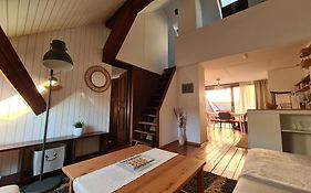 Old Town Cabin Apartment